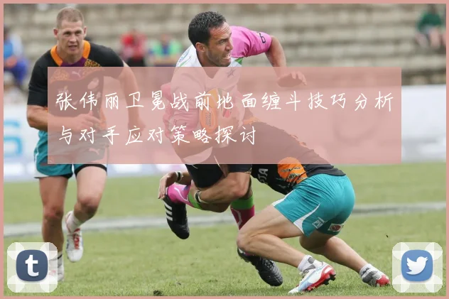 张伟丽卫冕战前地面缠斗技巧分析与对手应对策略探讨